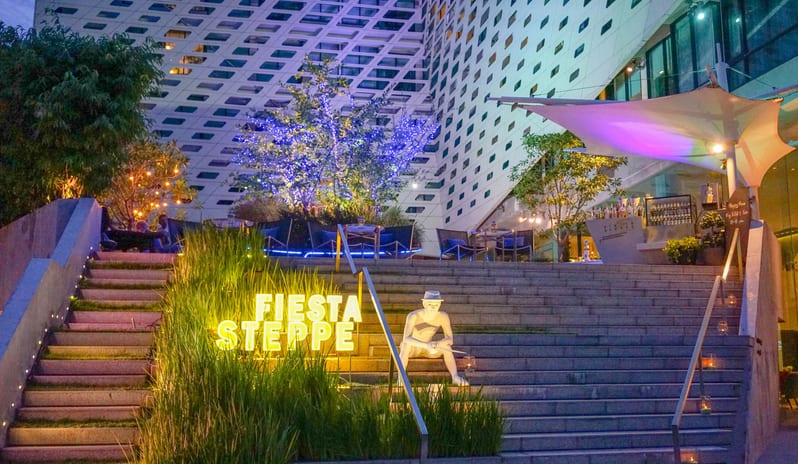 Fiesta Steppe - Night Time